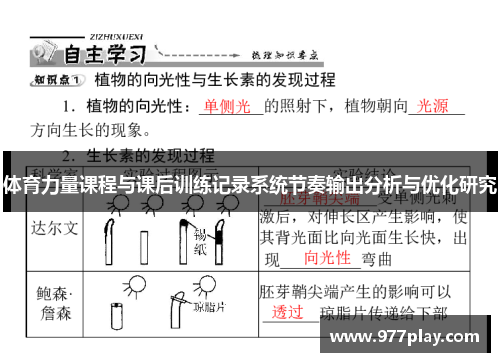 体育力量课程与课后训练记录系统节奏输出分析与优化研究