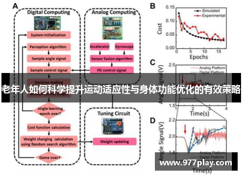 老年人如何科学提升运动适应性与身体功能优化的有效策略