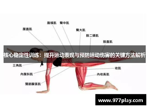 核心稳定性训练：提升运动表现与预防运动伤害的关键方法解析